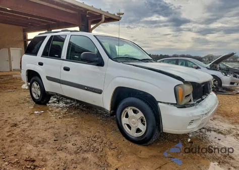 2003 Chevrolet Trailblazer из США, поврежденный, VIN 1GNDS13S932148081